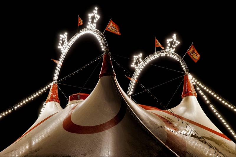 Safari Tents